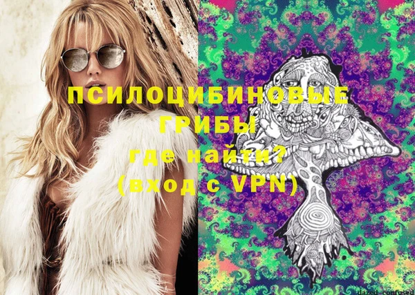 ECSTASY Семикаракорск