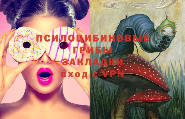 spice Верхний Тагил