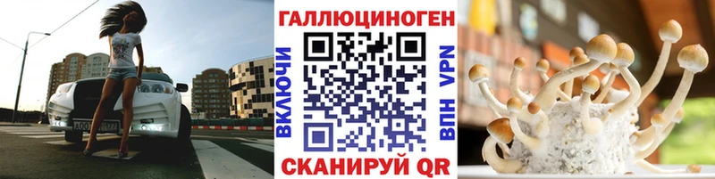 Псилоцибиновые грибы мицелий Отрадный