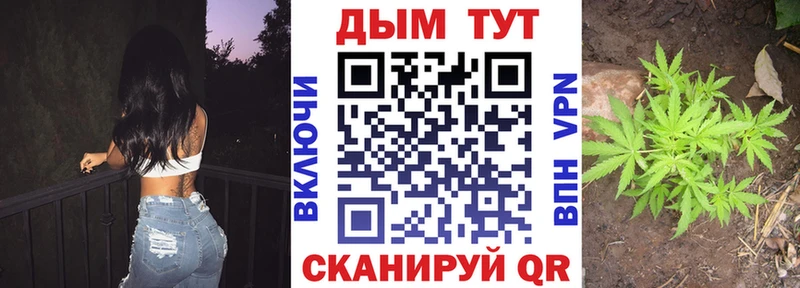 Каннабис ГИДРОПОН  Отрадный 